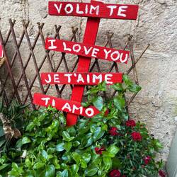 Une pensée pour ma chérie ❤️
