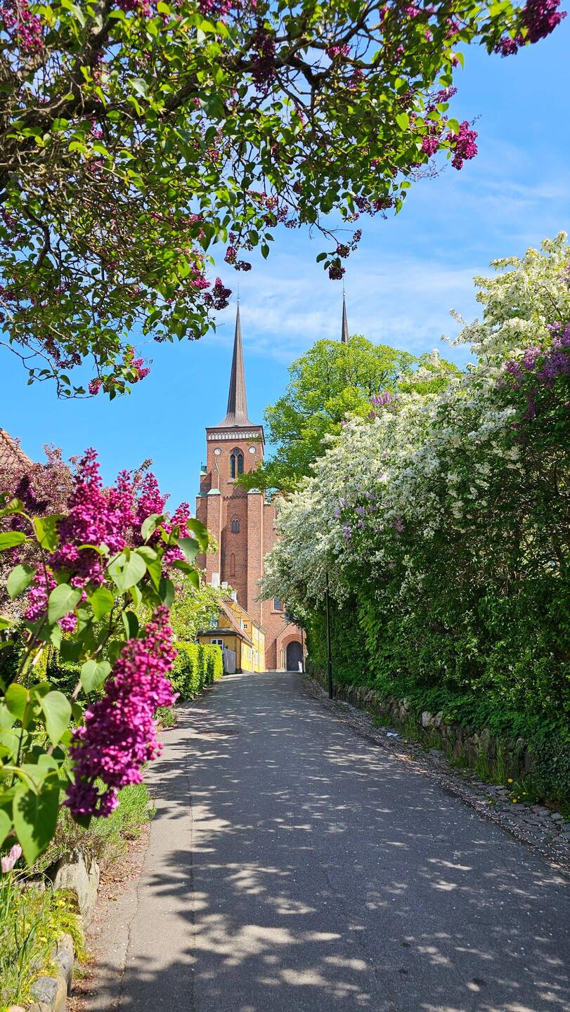 Flot vej fra P-plads til domkirken