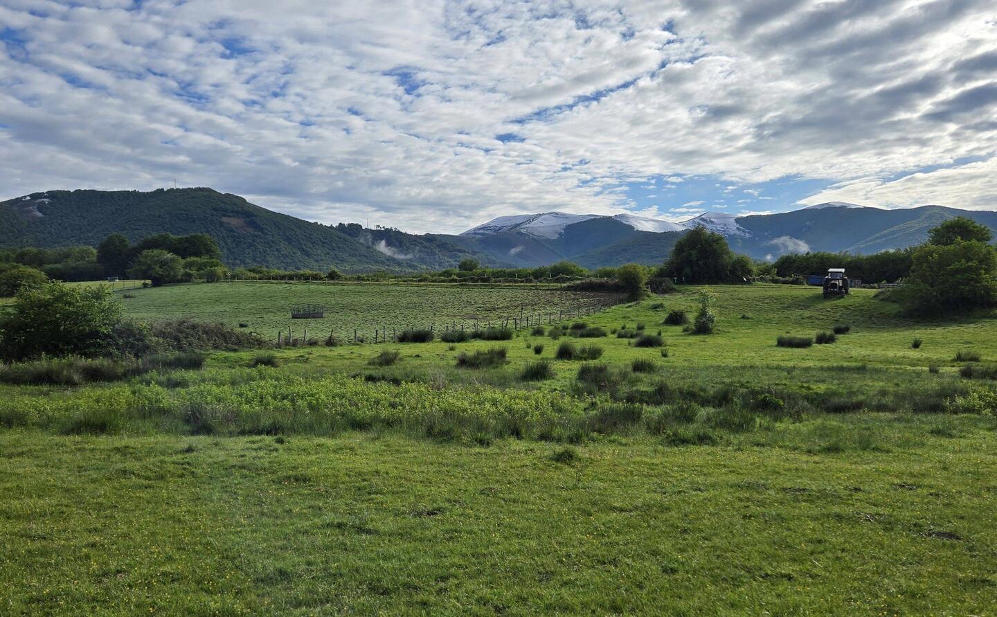 Still snow on the Pyrenees (in the distance)