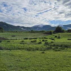 Still snow on the Pyrenees (in the distance)