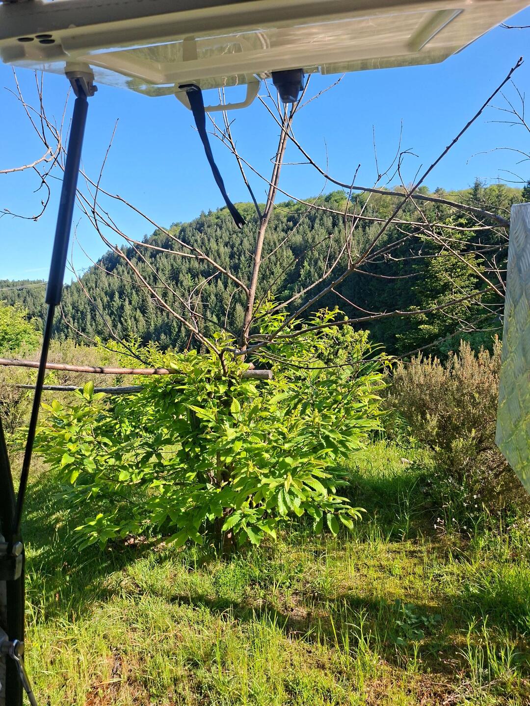 Réveil nature et silence 😍