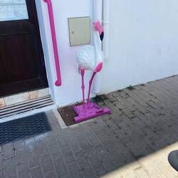 A region where flamingos live 🦩