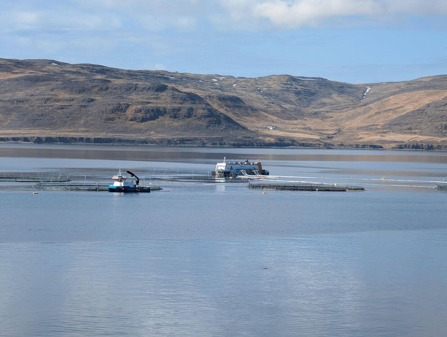 Fischzucht im Fjord