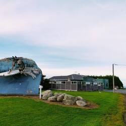 Colac Hotel closed. Opens Wednesday & oysters mentioned in reviews