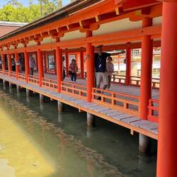„Ein Spaziergang durch Japans berühmten schwimmenden Schrein.“ ⛩️