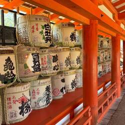 „Zwischen roten Tempelbalken und kunstvoll verzierten Sakefässern tauchen wir tief in Japans Traditi