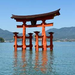 „Das berühmte schwimmende Torii von Miyajima – Japans spirituelles Wahrzeichen direkt im Meer ⛩️🇯🇵