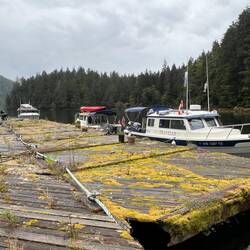 Tied up to the old dock in Kwatsi Bay