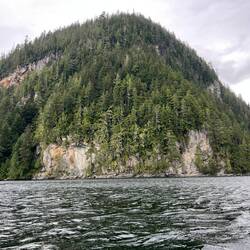 Trees growing right out of the rock face near the bottom of this mountain.