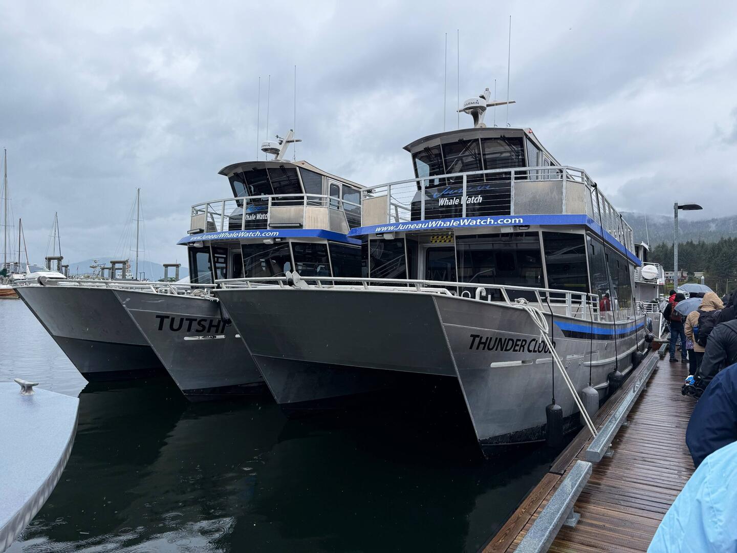 Whale watching boats