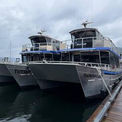 Whale watching boats