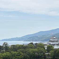 Das Schloss von Odawara von oben gesehen.