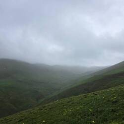 Grass in clouds