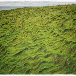 Dunluce Castle