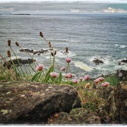 Dunluce Castle