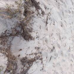 ...Sandstrand-Rutsche