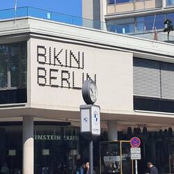 zu jedem Urlaub gehört ein Bikini