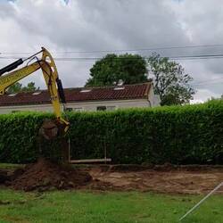 The start of the first mole hill