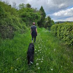 Mini-Wanderung am Nachmittag