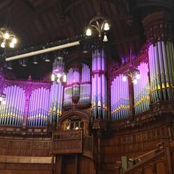 Eine riesige Orgel im Rathaus - ungewöhnlich