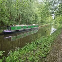 There were stumps sticking out of the water to keep boaters away from the sloped bank