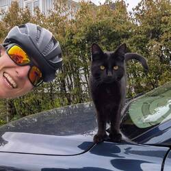 Volvokat bij aankomst