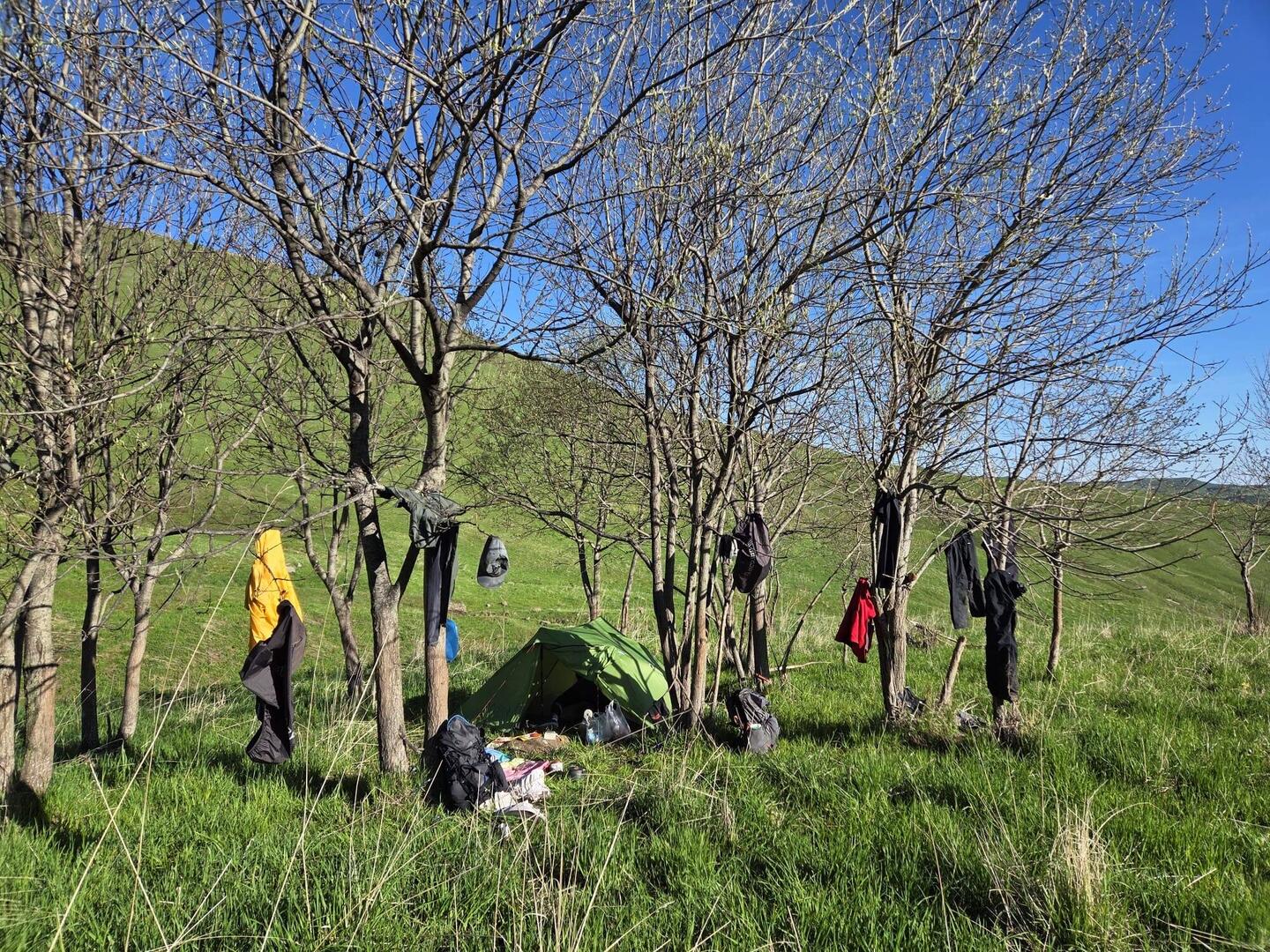 Camp clothesline!