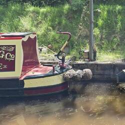 Even the dog has a house boat