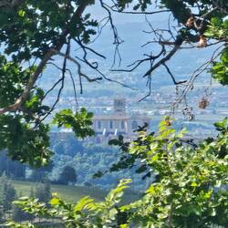 My last glimpse of Assisi