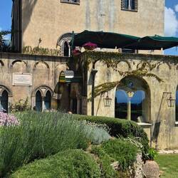 The tea room