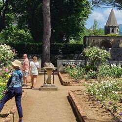 The rose garden