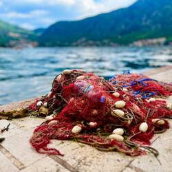 Pas miraculeuse la pêche
