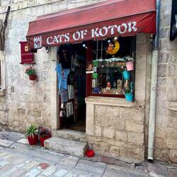 Il y a même des boutiques de souvenirs-chats et un musée des chats