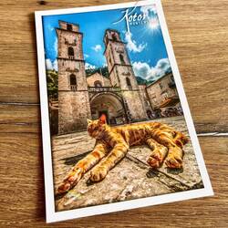Les chats sont partout. Même sur les cartes postales