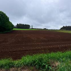 Fertile ground
