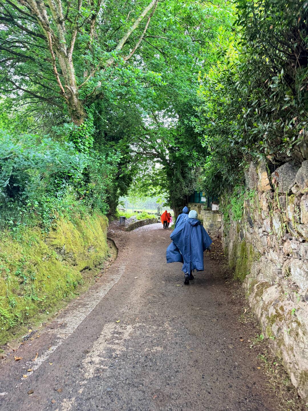 Wet pilgrims