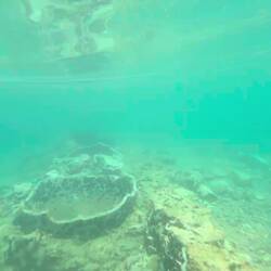 Sunken City