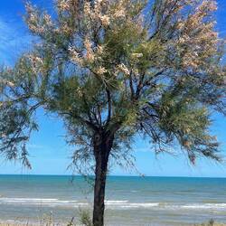 Adria- Meer.