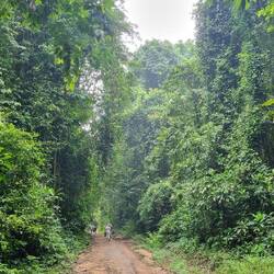 Beautiful tropical rainforest. Not too hot but sooo humid.