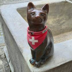 Dag poes! Nu ga ik echt weg.