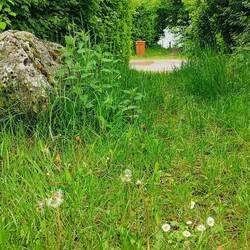 Am Diemelsee