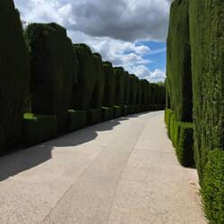 Pedestrian Path to Generalife Gardens