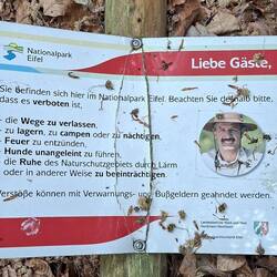 Da liegt der Ranger auf dem Boden!🤷‍♂️