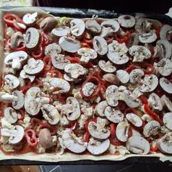 Der Pizza Rohling verwandelt sich....
