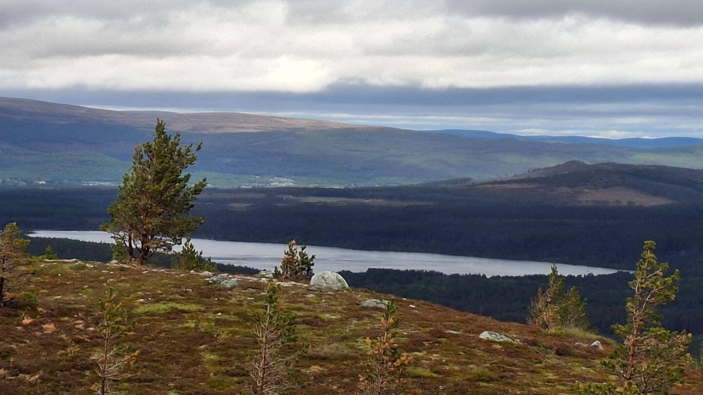 Unten im Tal der Loch Morlich