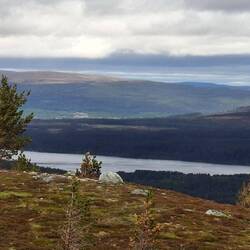 Unten im Tal der Loch Morlich