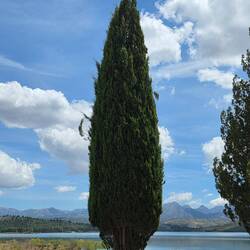 Bermejales Reservoir