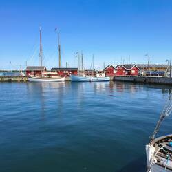 Zurück am Hafen