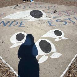 Excuse the shadow...this is the symbol of the grandmas of the missing 30,000