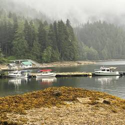 The boats at the old Kwatsi Bay dock.